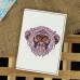 Обкладинка для паспорта "Ethnic monkey" + блокнотик
