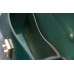 Женская кожаная сумка CARNEM green SCALE bag зеленая