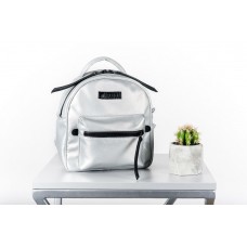 Рюкзак HARVEST "SMALL" сільвер