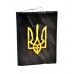 Обложка на права с вкладышем Черный гранит с желтым гербом