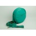 Женская кожаная сумка Wellbags Mint green bag circle W038.8 мятно-зеленая