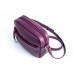 Жіноча сумка WELLBAGS CrossBody Verbenka Plum w059.12 сливова