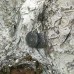 Серьги "Планеты"